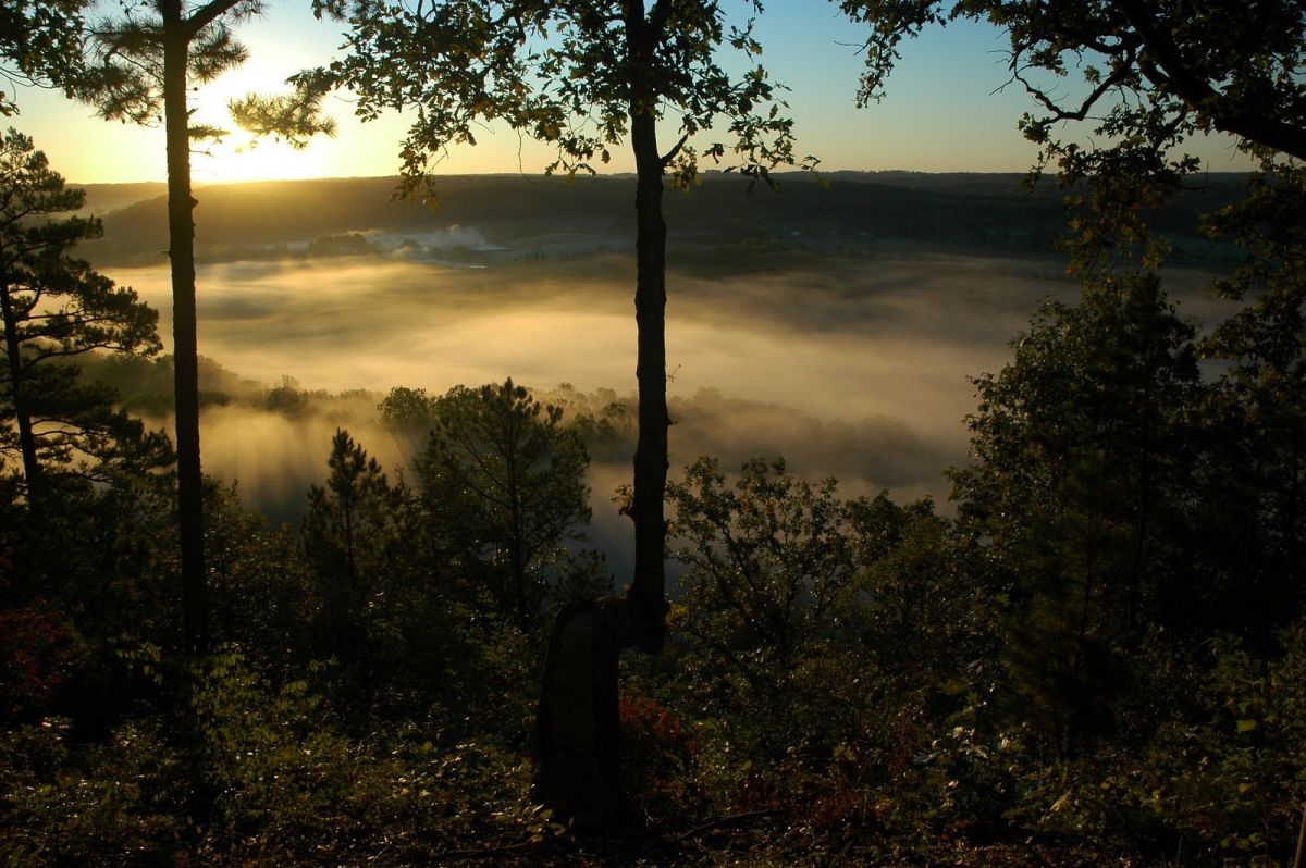 Flint Ridge Fog